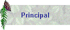 Principal